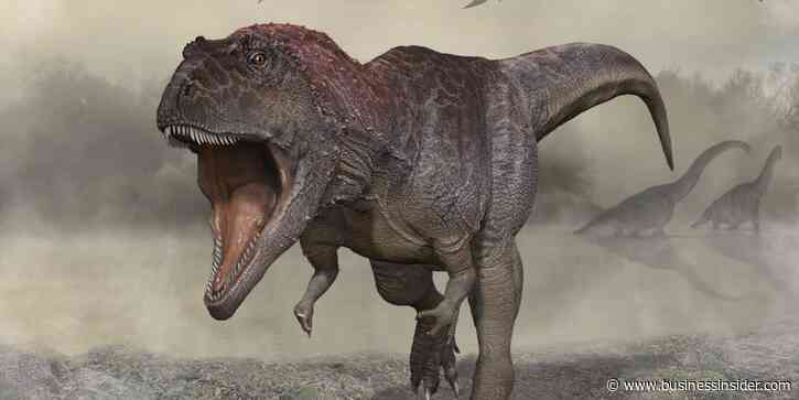 Scientists found a new, huge dinosaur with tiny arms like a T. rex, deepening the mystery of why they evolved that way