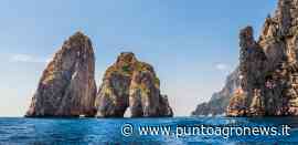 Capri: i miti e le leggende di un'isola da sogno - Punto Agro News.it