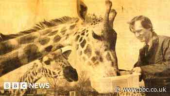 Blackpool Zoo marks 50 years of animal keeping