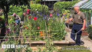 Preston Dig In garden has saved lives, veterans say