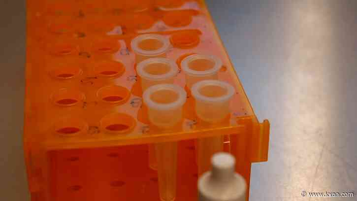 What are the symptoms of BA.4 and BA.5?