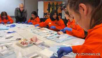 Calgary 's Camp Courage is a summer experience for teenage girls | CTV News - CTV News Calgary