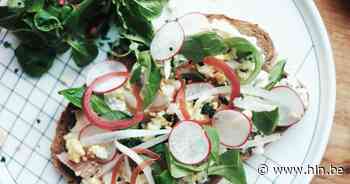 Van De Kom tot De Ster: met deze 7 restotips uit Leuven en het Hageland geniet je van een lekkere lunch - Het Laatste Nieuws