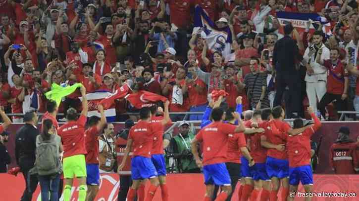 FIFA, Qatar prepare beer policy for soccer fans at World Cup