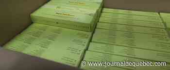 COVID-19: de plus en plus de Québécois se procurent des tests rapides