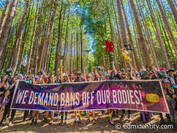 Electric Forest Is Collecting Signatures and Donations For Planned Parenthood - EDM Identity