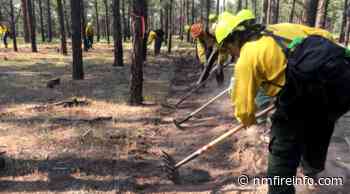 Forest Stewards Youth Corps Hiring Fire and Fuels Positions for Fall Program - nmfireinfo.com