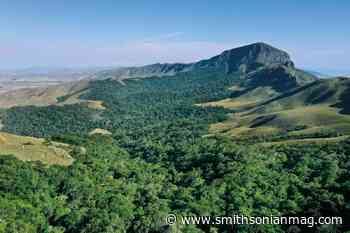 Into the Forbidden Forest | Science - Smithsonian Magazine