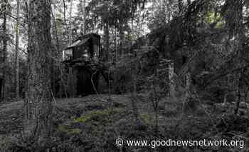 UFO-Like Treehouse Appears in Finnish Forest - Good News Network