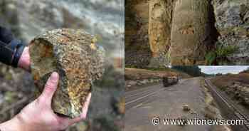 In Pics: 290-million-year-old ‘rare’ forest unearthed in Brazil - WION