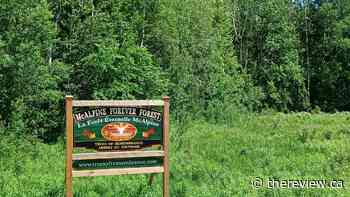 Land trust formed to preserve McAlpine Forever Forest - The Review Newspaper