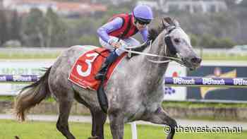 Trainer Luke Fernie fancies roughie Mervyn to defy odds in Beaufine Stakes at Belmont Park - The West Australian