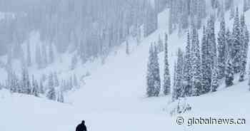 Calgary man dies after skiing into tree at Fernie resort: RCMP - Global News