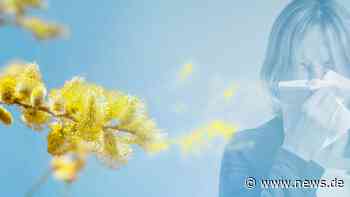 Biowetter Heidelberg heute: So beeinflusst das aktuelle Wetter Ihre Gesundheit - news.de