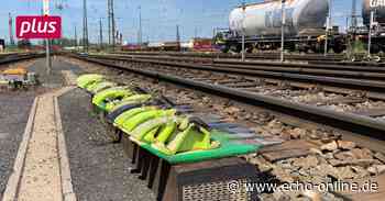 Ein Knotenpunkt mit Zukunft in Bischofsheim - Echo Online