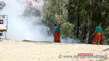 Gli incendi assediano Caltabellotta, il sindaco: "Opera di persone malate" - AgrigentoNotizie