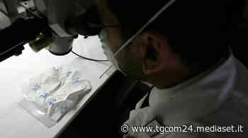 Marmolada, all'opera i Ris di Parma: "Priorità massima all'analisi dei resti" - TGCOM