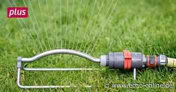 Wasser-Informationstag in Heppenheim: Probleme und Lösungen - Echo Online