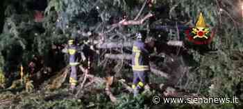 Pioggia e grandine sulla provincia di Siena: 25 interventi dei vigili del fuoco, a Ravacciano caduto l̵... - Siena News