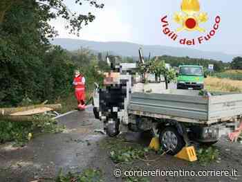 Siena, l’albero sfonda l’autocarro: conducente vivo per miracolo - Corriere Fiorentino