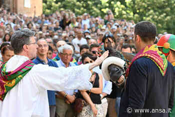 Il Leocorno vince la provaccia del Palio di Siena - Agenzia ANSA