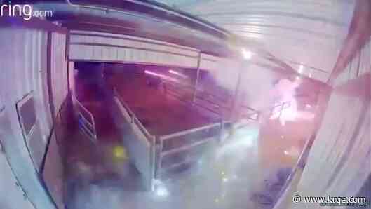 Clovis horse owners furious after fireworks set off in stalls