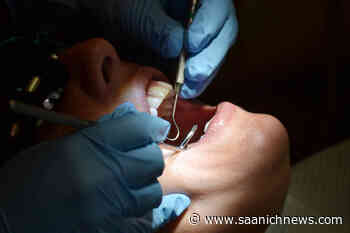 BC dentist suspended, fined for sexual relationship with patient – Saanich News - Saanich News