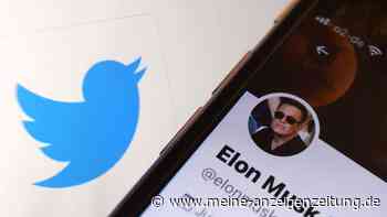 Übernahme: Musk will nicht mehr, Twitter droht mit Gericht
