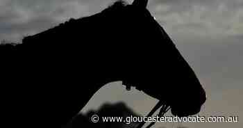 Twelve horses killed in Vic stable blaze - Gloucester Advocate
