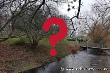 Basildon Gloucester Park sees dead fish appearing in lake | Echo - Southend Echo