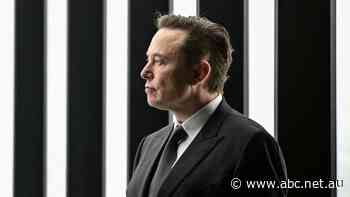 Elon Musk seeks to terminate $64 billion Twitter buyout deal