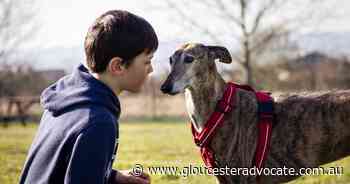 Whether young or old, age is no barrier in greyhound racing - Gloucester Advocate