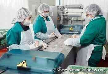 Zamora crea 23 sociedades mercantiles en mayo, un 15% más que hace un año - Zamora 24 Horas