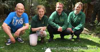 Cleethorpes Wildlife Rescue close to being saved - Grimsby Live