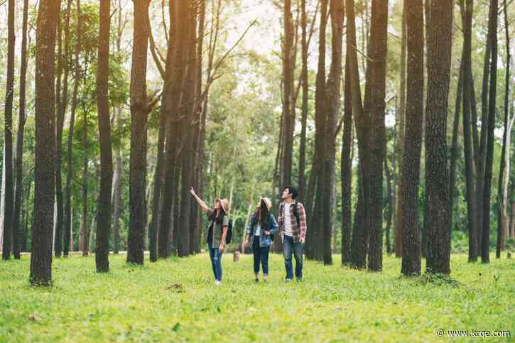 Forest Service hiring for fall youth program