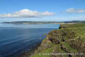 Bird flu detected on Rathlin Island - The Oldham Times