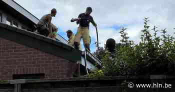 Dakbrand tijdens dakwerken aan vijver Kleine Kouter | Lede | hln.be - Het Laatste Nieuws