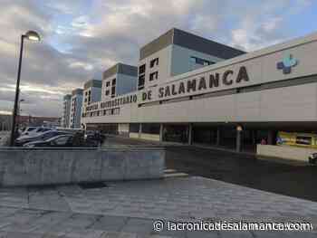 Herida en la rotonda de Buenos Aires - La Crónica de Salamanca