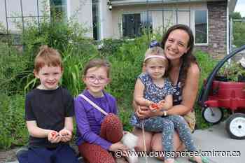 Taylor community orchard continues to bloom - Dawson Creek Mirror