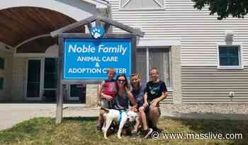 5-month-old PJ the pit bull found abandoned near Mount Hope Cemetery in Boston has found a permanent home - MassLive.com