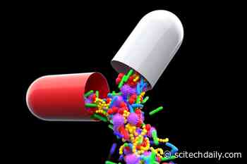 Shocking New Study Finds That 43.5% of Rivers Worldwide Have an Alarming Amount of Pharmaceutical Pollution - SciTechDaily