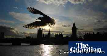 Ben Aaronovitch’s Rivers of London novels are set for TV adaptation - The Guardian