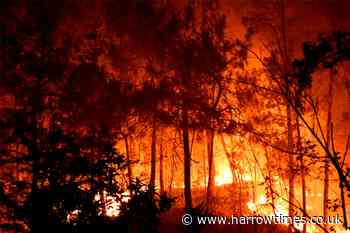 Almost 1000 firefighters battle massive fire in south-east France - Harrow Times