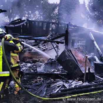Brand in Essen: Feuerwehr rettet fünf Katzenbabys - Radio Essen