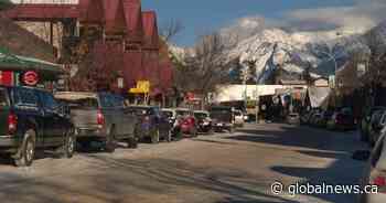 Peacock on the loose for days in Jasper National Park in Alberta euthanized