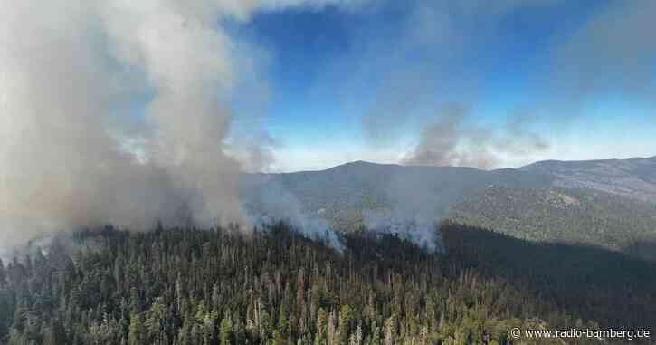 Waldbrand wütet im kalifornischen Yosemite-Park