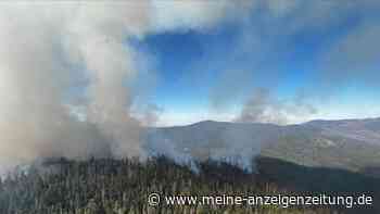 Waldbrand wütet im kalifornischen Yosemite-Park