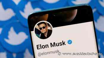 Musk will Twitter nicht mehr kaufen, aber Twitter besteht darauf - Süddeutsche Zeitung - SZ.de