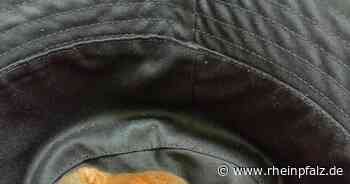 Polizistenmord, Eichhörnchenrettung und Baustelle – Kaiserslautern kompakt - Rheinpfalz.de