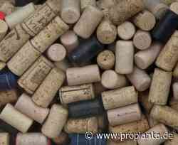 Deutschlands Weine vereint in einem Cuve - Proplanta - Das Informationszentrum für die Landwirtschaft